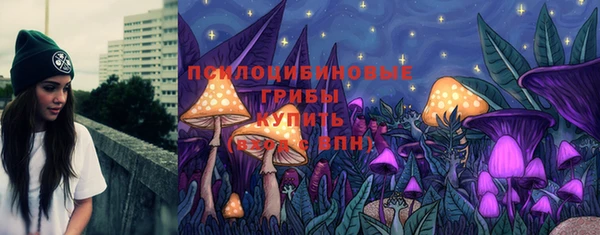МДПВ Алзамай