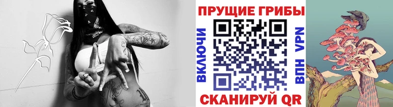 Галлюциногенные грибы мицелий Краснослободск